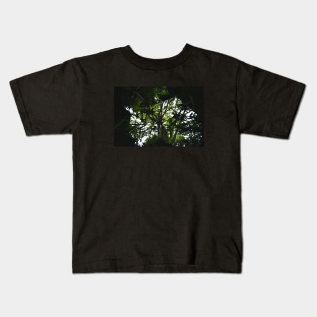 Kaleidoscope Diary Into The Woods Kids T-Shirt by Kaleidoscope Therapy